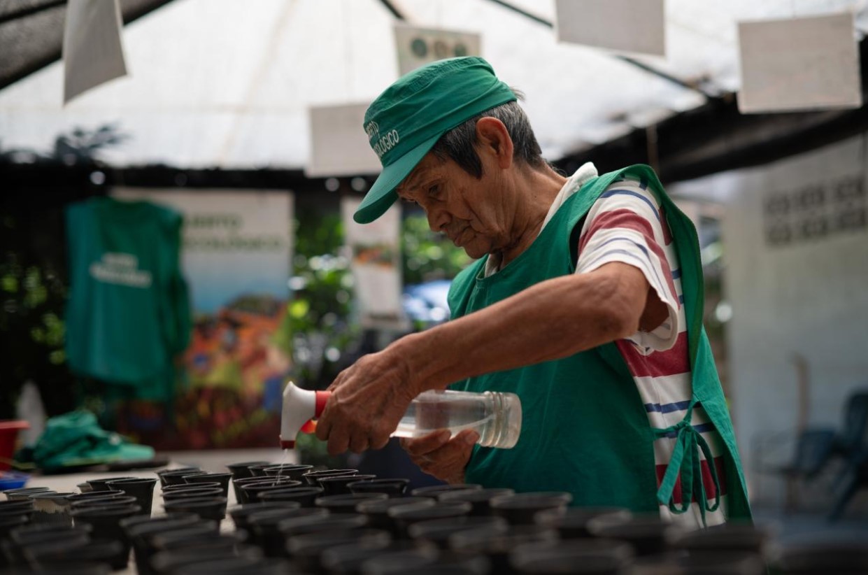 ¿Los adultos mayores en Venezuela quieren volver al trabajo?