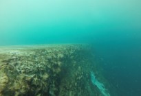Encontraron un enorme agujero en el fondo del océano y los científicos no saben donde termina (VIDEO)