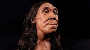 Revelan la cara de una mujer neandertal que vivió hace 75 mil años