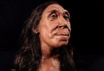 Revelan la cara de una mujer neandertal que vivió hace 75 mil años