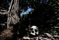 El perturbador ritual funerario de una aldea: así es “la selva de los muertos”
